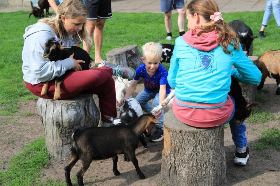 Huisje 86 - Vakantiepark 'T Hooge Holt Gramsbergen Eksteriør bilde